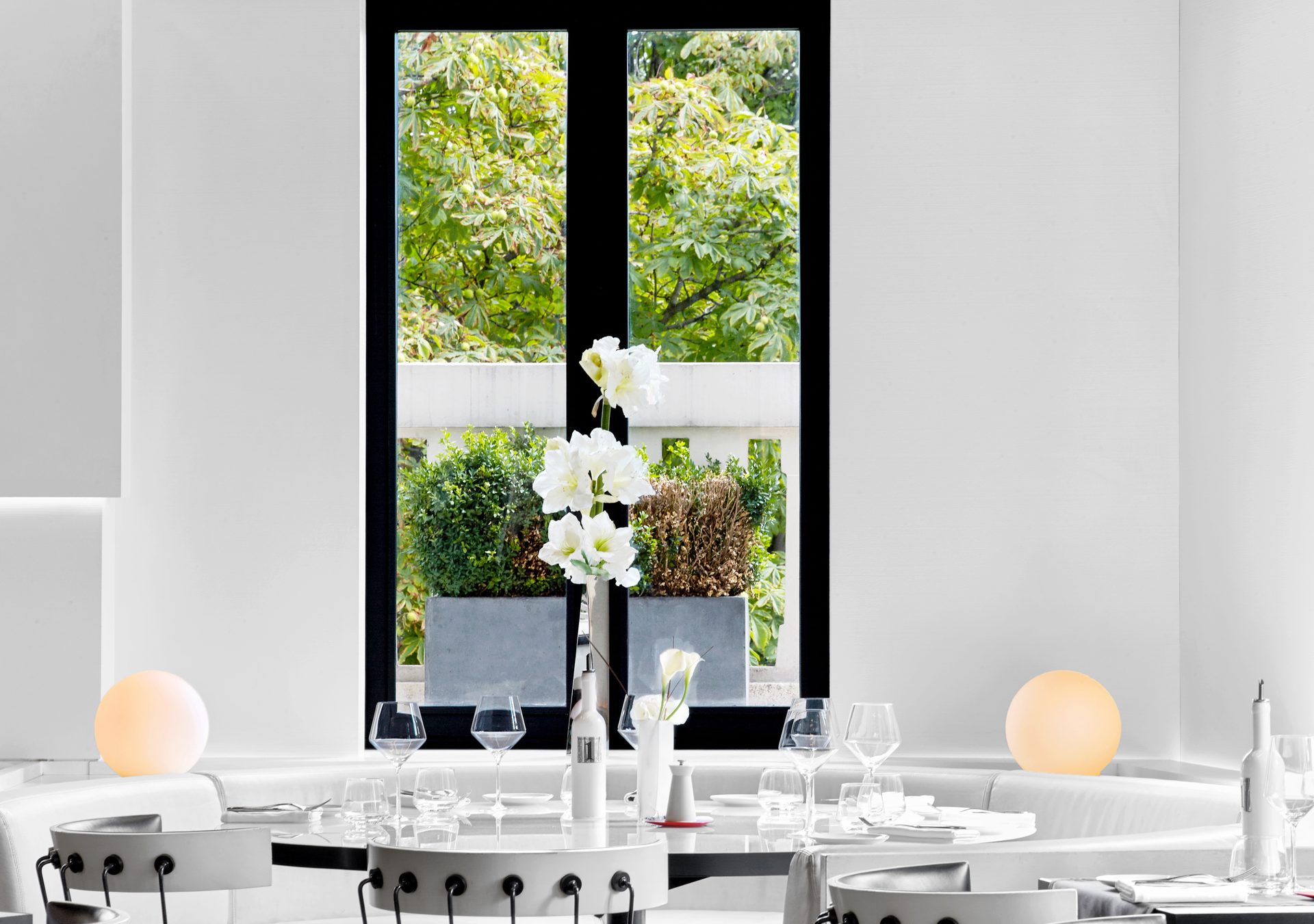 Nolita Paris — vue 05 — baie vitrée à contre-jour avec amaryllis blanches et vases inox, banquette blanche et table dressée au premier plan